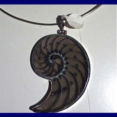 pendant..shell nautilus 